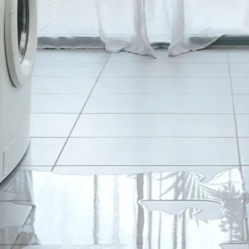 Appliance Leak Cleanup in San Martin, CA